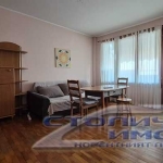 Дава се под наем Двустаен апартамент в София, Младост 3 - 50 кв.м за 498.27 € - Снимка #1