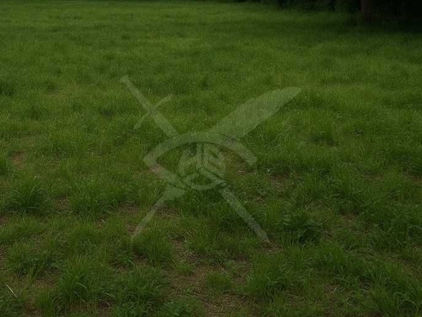 Парцел в Пловдив, Прослав - 6452 кв.м за 49 €/кв.м - Снимка #1