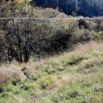 Парцел в с. Златуша, Област София-област - 725 кв.м за 17 €/кв.м - Снимка #1