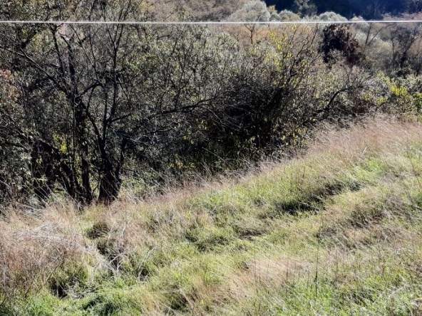 Парцел в с. Златуша, Област София-област - 725 кв.м за 17 €/кв.м - Снимка #1