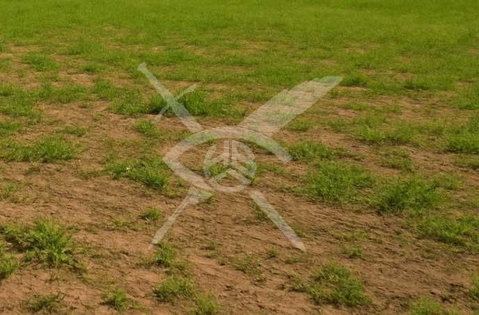 Парцел в с. Ягодово, Област Пловдив - 6606 кв.м за 10 €/кв.м - Снимка #1