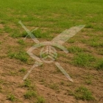 Парцел в с. Ягодово, Област Пловдив - 6606 кв.м за 18 €/кв.м - Снимка #1