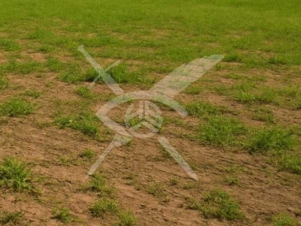 Парцел в с. Ягодово, Област Пловдив - 6606 кв.м за 18 €/кв.м - Снимка #1