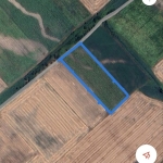 Парцел в с. Труд, Област Пловдив - 10009 кв.м за 8 €/кв.м - Снимка #1