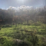 Парцел в с. Церова кория, Област Велико Търново - 1360 кв.м за 11 €/кв.м - Снимка #1