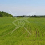 Парцел в с. Загорци, Област Бургас - 2268 кв.м за 21 €/кв.м - Снимка #1