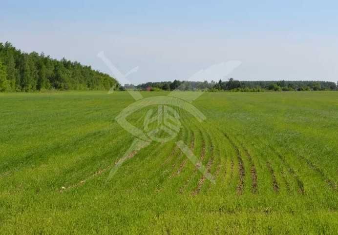 Парцел в Бургас, Ветрен - 2040 кв.м за 5 €/кв.м - Снимка #1