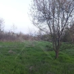 Парцел в с. Черни връх, Област Бургас - 8999 кв.м за 2 €/кв.м - Снимка #1