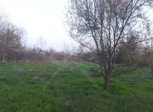 Парцел в с. Черни връх, Област Бургас - 1100 кв.м за 30 €/кв.м - Снимка #1