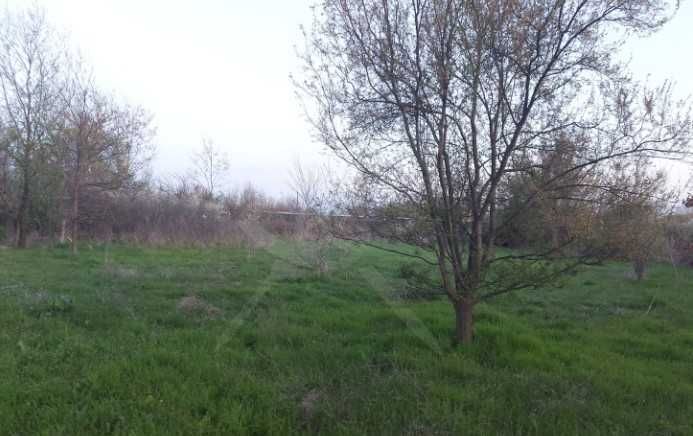 Парцел в с. Черни връх, Област Бургас - 1100 кв.м за 30 €/кв.м - Снимка #1