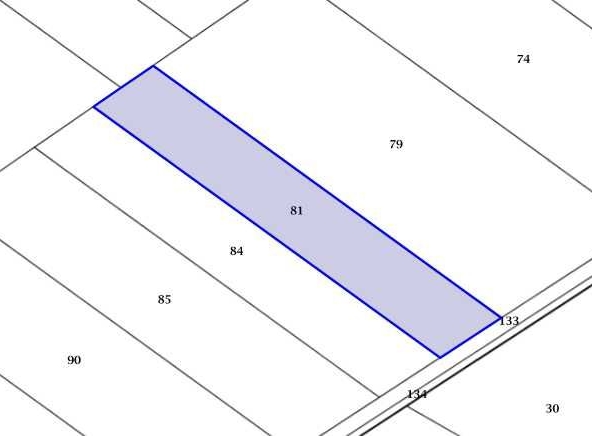 Парцел в с. Първенец, Област Пловдив - 2155 кв.м за 50 €/кв.м - Снимка #1