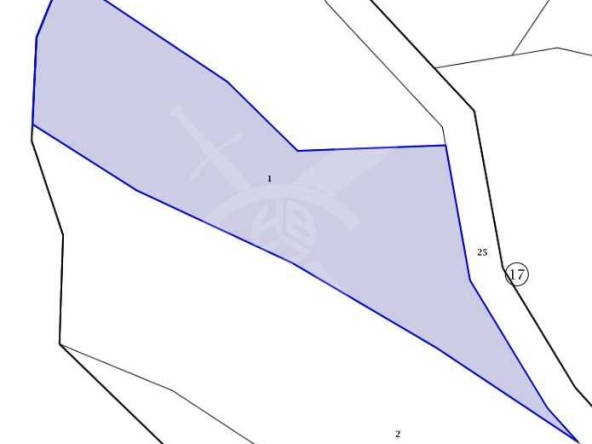 Парцел в с. Трънак, Област Бургас - 2203 кв.м за 2 €/кв.м - Снимка #1