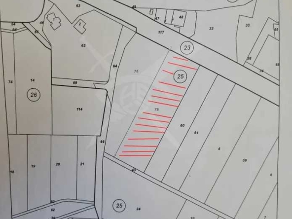 Парцел в с. Поповица, Област Пловдив - 6296 кв.м за 4 €/кв.м - Снимка #1