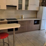 Дава се под наем Двустаен апартамент в Пловдив, Старият град - 65 кв.м за 229.5 € - Снимка #1