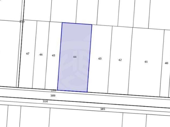 Парцел в с. Цалапица, Област Пловдив - 10616 кв.м за 6 €/кв.м - Снимка #1