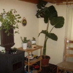 Етаж от къща в Велико Търново, Стара част - 55 кв.м за 946 €/кв.м - Снимка #1