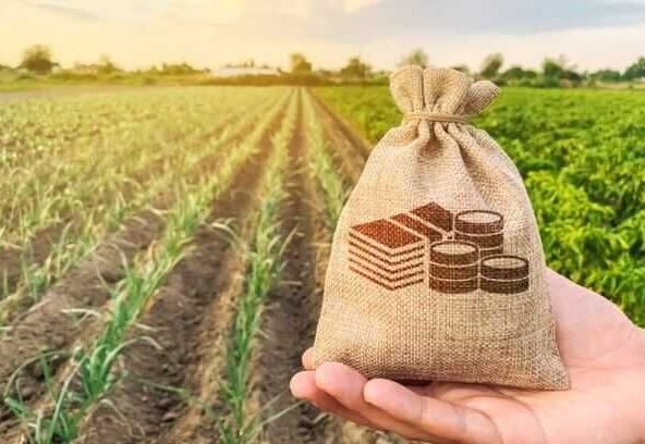 Парцел в с. Житен, Област София-град - 10000 кв.м за 14 €/кв.м - Снимка #1