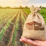 Земеделски имот в с. Видно, Област Добрич -  кв.м за 2274 €/дка - Снимка #1