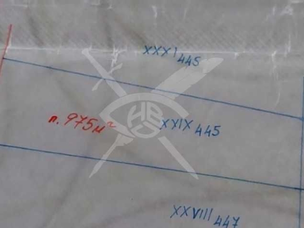 Парцел в с. Драчево, Област Бургас - 975 кв.м за 7 €/кв.м - Снимка #1