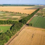 Земеделски имот в Добрич, Автогара -  кв.м за 39 €/дка - Снимка #1