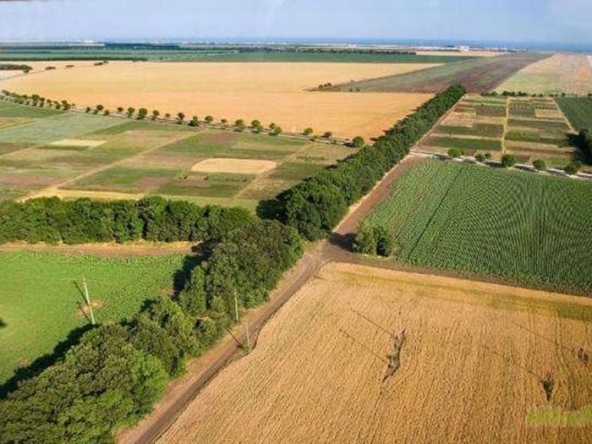 Земеделски имот в Добрич, Автогара -  кв.м за 39 €/дка - Снимка #1