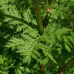 Къща в Стара Загора, Център - 72 кв.м за 1528 €/кв.м - Снимка #1