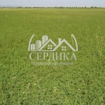 Парцел в Банкя - 2000 кв.м за 31 €/кв.м - Снимка #1