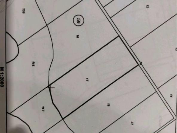 Парцел в с. Тополи, Област Варна - 7227 кв.м за 25 €/кв.м - Снимка #1