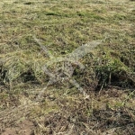 Парцел в Пловдив, Индустриална зона - Юг - 7000 кв.м за 50 €/кв.м - Снимка #1