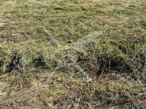 Парцел в Пловдив, Индустриална зона - Юг - 7000 кв.м за 50 €/кв.м - Снимка #1