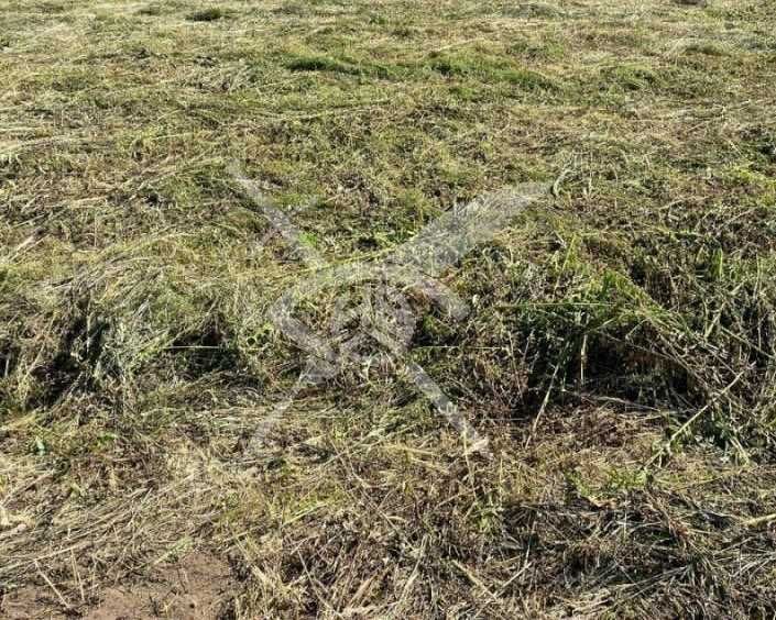 Парцел в с. Маноле, Област Пловдив - 5994 кв.м за 26 €/кв.м - Снимка #1