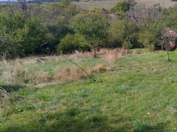 Парцел в с. Кошарево, Област Перник - 840 кв.м за 31 €/кв.м - Снимка #1