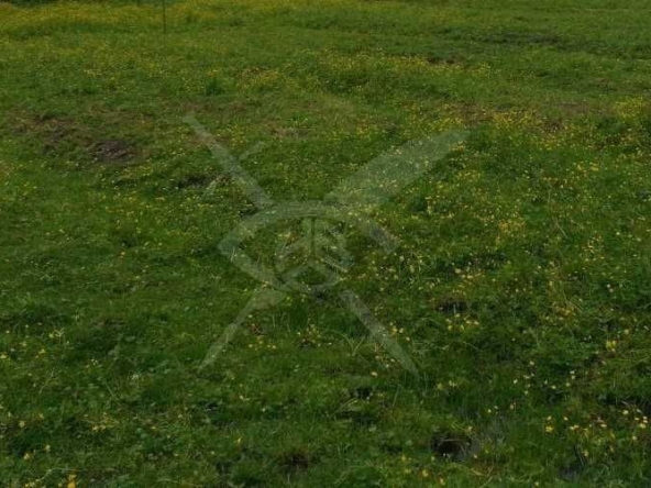 Парцел в Карлово - 1500 кв.м за 4 €/кв.м - Снимка #1