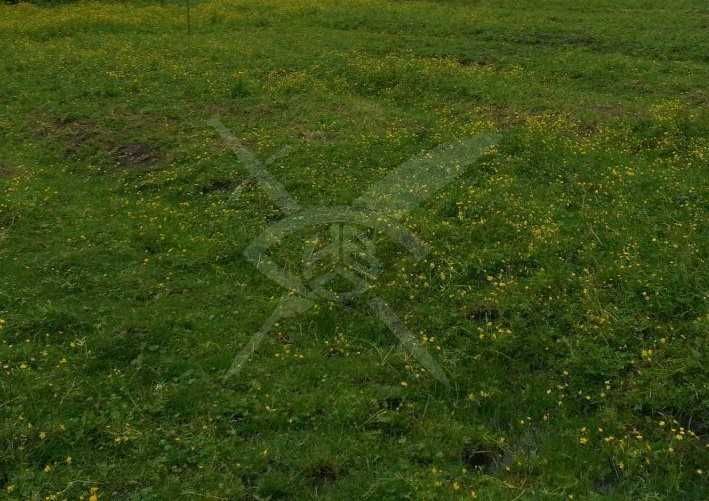 Парцел в Карлово - 1500 кв.м за 4 €/кв.м - Снимка #1