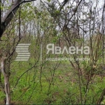 Парцел в Генерал Тошево - 1000 кв.м за 38 €/кв.м - Снимка #1