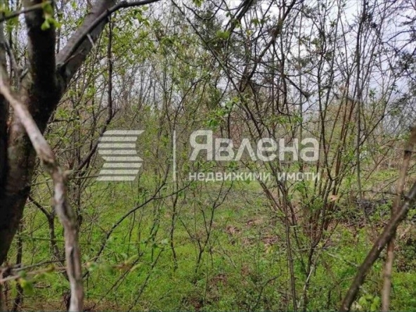 Парцел в Генерал Тошево - 1000 кв.м за 38 €/кв.м - Снимка #1