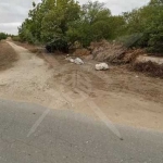 Парцел в с. Зелениково, Област Пловдив - 1744 кв.м за 16 €/кв.м - Снимка #1