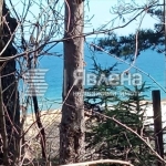 Парцел в Созопол - 4589 кв.м за 41 €/кв.м - Снимка #1