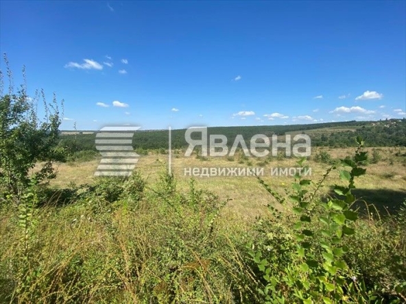 Парцел в с. Приселци, Област Варна - 4580 кв.м за 20 €/кв.м - Снимка #1