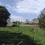 Земеделски имот в с. Изгрев, Област Бургас -  кв.м за 3 €/дка - Снимка #1