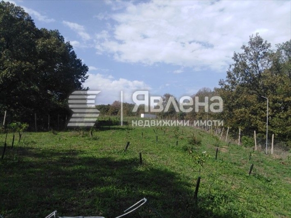 Земеделски имот в с. Изгрев, Област Бургас -  кв.м за 3 €/дка - Снимка #1