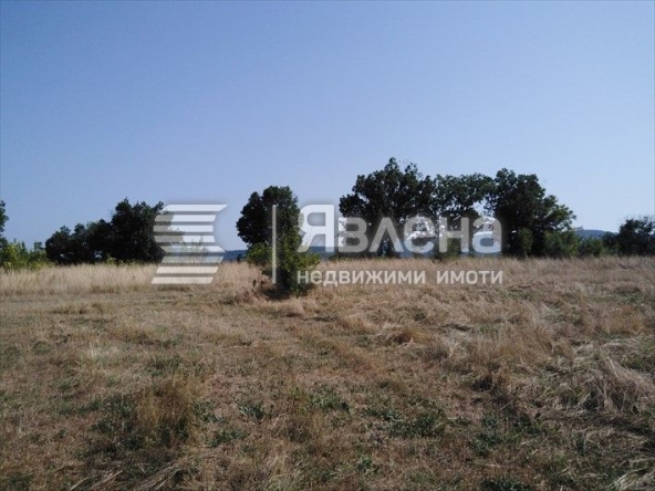 Парцел в с. Велика, Област Бургас - 3724 кв.м за 24 €/кв.м - Снимка #1