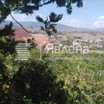 Земеделски имот в с. Рилци, Област Благоевград -  кв.м за 24 €/дка - Снимка #1