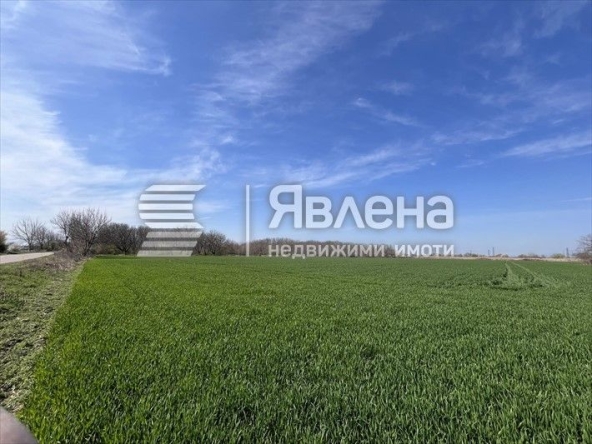 Парцел в с. Стрелци, Област Пловдив - 2310 кв.м за 16 €/кв.м - Снимка #1