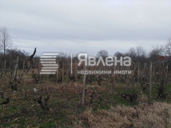 Парцел в Царево - 971 кв.м за 39 €/кв.м - Снимка #1