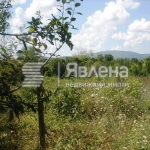 Парцел в Ахтопол - 2000 кв.м за 20 €/кв.м - Снимка #1