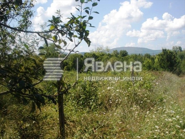 Парцел в Ахтопол - 2000 кв.м за 20 €/кв.м - Снимка #1