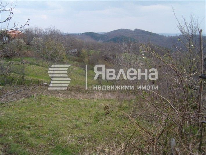 Земеделски имот в с. Българи, Област Бургас -  кв.м за 1 €/дка - Снимка #1