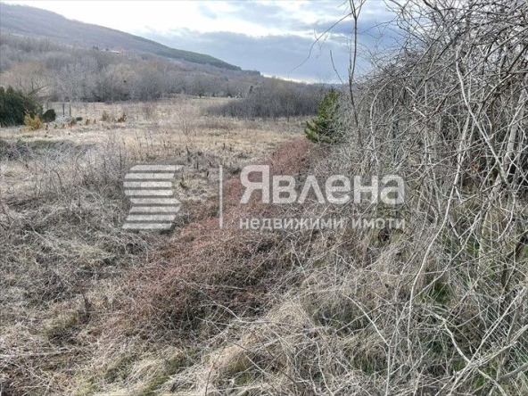 Парцел в с. Генерал Кантарджиево, Област Варна - 1166 кв.м за 43 €/кв.м - Снимка #1