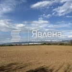 Земеделски имот в с. Мусачево, Област София-област -  кв.м за 26 €/дка - Снимка #1